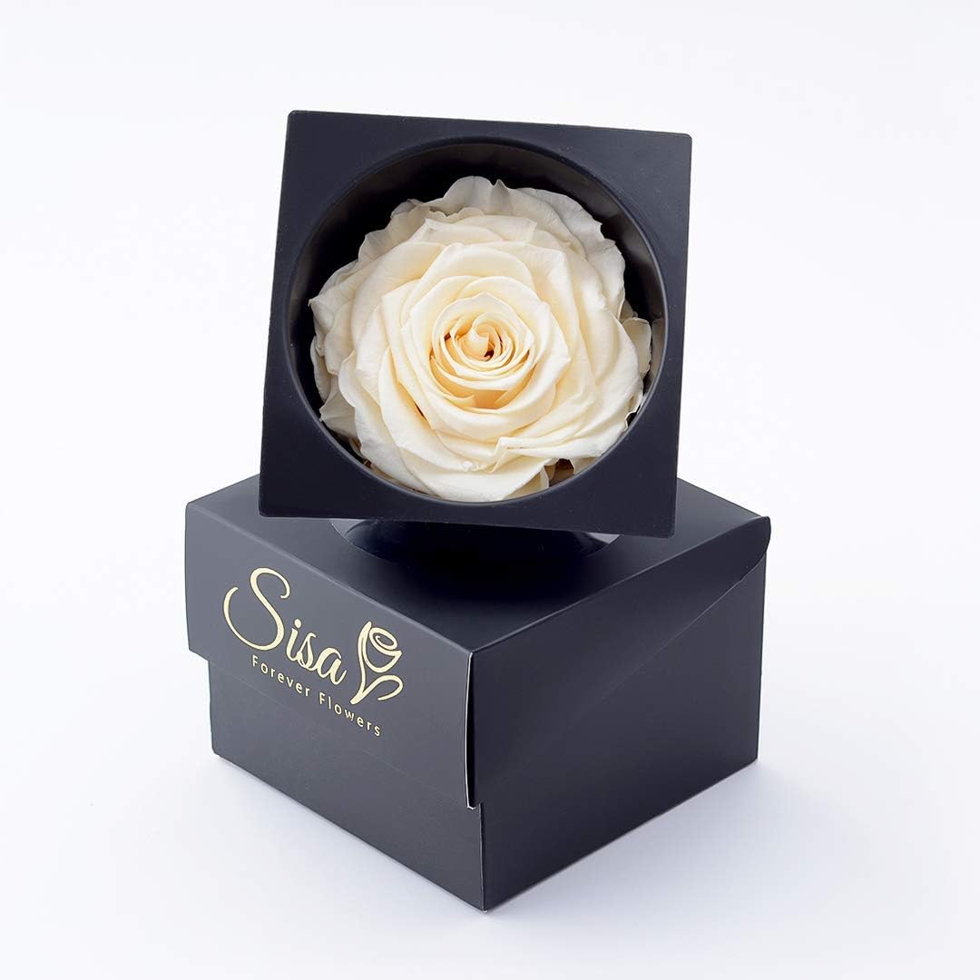 Forever Love Rose Gift Box, Enchanted Real Rose, Eternal Handmade Preserved Rose Flower for Women,Wife, Girlfriend on Valentine's Day, Birthday, Mother's Day. (White)