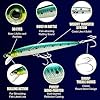 LUCKY CRAFT FlashMinnow 130MRS Saltwater Fishing Lures, Jerkbait for Halibut and Bass Fish, Slow Sinking 2-4ft, Surf Fishing Gear and Tackle Box Accessories, 614 Pacific Sardine #2
