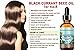 Botanical Beauty BLACK CURRANT SEED OIL 100% Pure Natural Undiluted Refined Cold Pressed Carrier oil. 0.5 Fl.oz. - 15ml. For Skin, Hair, Lip, Nail Care. Rich in gamma-linolenic acid, Omega 3, 6, 9