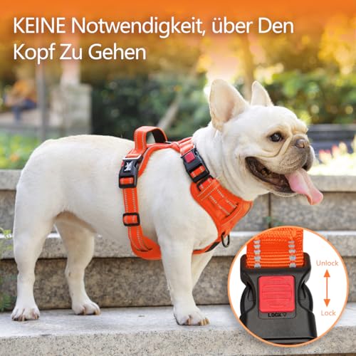 PoyPet Keine Pull Hundegeschirr, Reflektierendes Hundegeschirr für Hunde ohne Choke, Verstellbare, weich gepolsterte Haustierweste mit Easy Control-Griff für kleine bis große Hunde (Orange,XS)