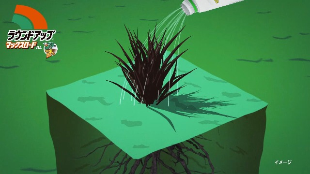 Amazon.co.jp: 日産化学 除草剤 ラウンドアップマックスロードAL