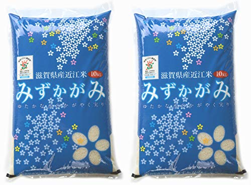 V ā ݂ 20kg ꌧY ߘa7N 100