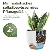 Bamworld Blumentöpfe 6 Set Selbstbewässernd Weis 12.7cm/14cm/15.2cm/16.5cm/17.8cm/20.3cm Blumentopf Pflanzentopf mit Untersetzer,Anzuchttöpfe,Zimmerpflanzen,Fensterbank deko – Ansicht 4