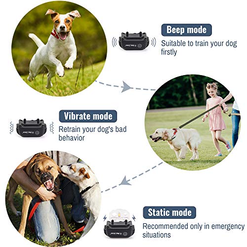 Petrainer PET998DB1 Collar and Remote