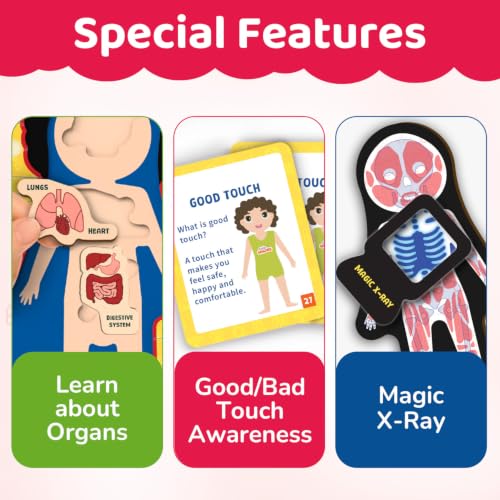 Image of Smartivity Human Body Parts Puzzle for Kids 4-7 Years | 40+ Learning Cards - Teaches Outer Body & Organs | See Bones with Magic X-RAY I Birthday Gift for Boys & Girls