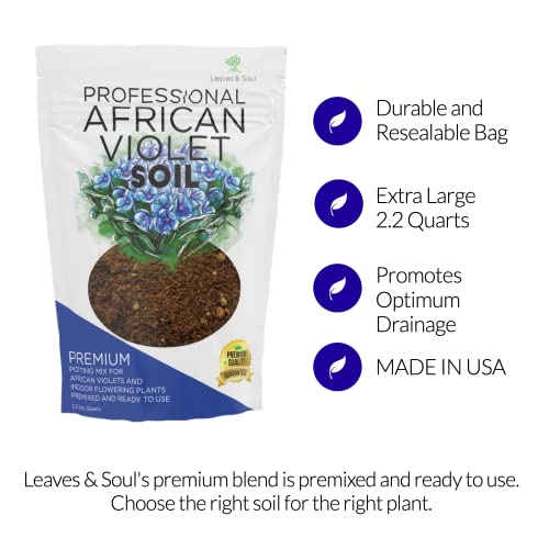The Best African Violet Soil Mix Perfect Flowering Plant Soil 2023