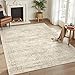 Soalmost 6x9 Area Rug for Living Room Washable 6x9 Rug Non-Slip Modern Rugs for Bedroom Dinning Room Ultra-Thin Indoor Beige Rug