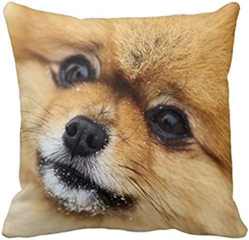 Pomeranian Portrait Pillow Case