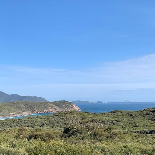 S5 Ep8: The Sounds Of Nature (#224)