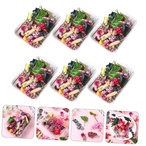 6 Cajas de Flores Secas Naturales para Manualidades miniatura 3