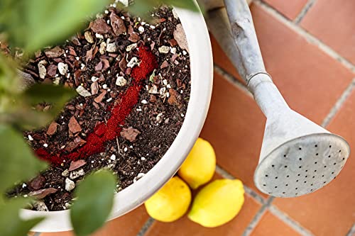 R&R SHOP – Chelatisiertes Eisen, revitalisiert und schützt das Wachstum von Pflanzen und Wurzeln (EDDHA) – 45 g erlaubt in der ökologischen Landwirtschaft