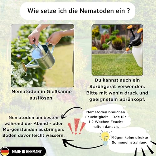 FairyFly® SF Nematoden gegen Trauermücken (10 Mio für 20 m² / 100 Pflanzen) – Nematoden zum Gießen für Zimmerpflanzen… – Ansicht 4