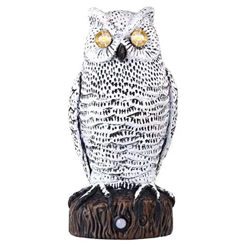 Buy Lubatis Owl Decoy to e Birds Away Motion Activated Plastic Owl Bird