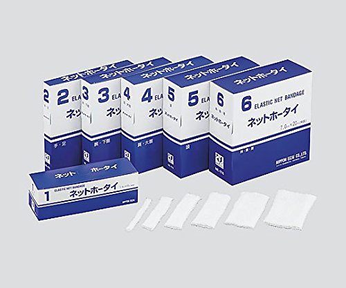 Lklbg RmrEځnRO×QO NE-173 ({q)