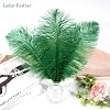 Lamar Feather 20pcs 10-12'' Blackish Green Ostrich Feathers for Wedding Centerpieces, Crafts, Festival Deco, Party Decor, Floral Arrangement, Bohemian Home Decor (Blackish Green) #3