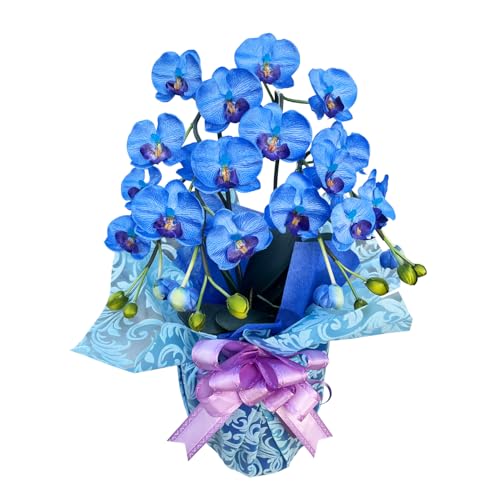 Ԃ̃Mtg Ӓ G} A[gt[  ~fB 傤  2{  