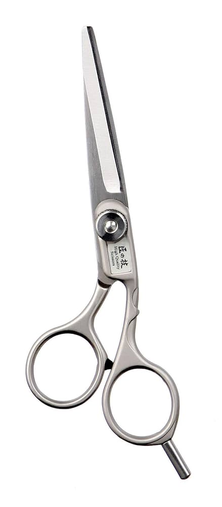 Amazon | 匠の技 ステンレス製 ヘアカットはさみ G-5001 | GREEN