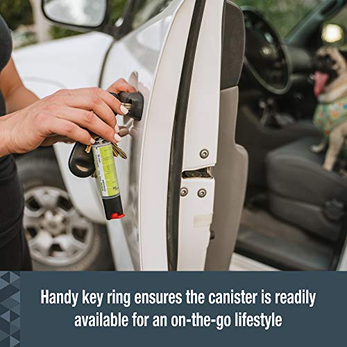 The 30 Best Dog Repellents Sprays of 2024 [Verified] Cherry Picks