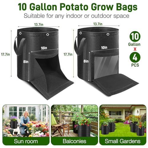4 Pack 10 Gal LST Window Bags