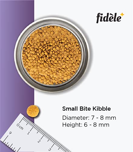 Image of Fidele+ Adult Small & Medium Dog Food | 2.7kg | Small Kibble for Fussy Eaters | Prebiotics for Digestion | Healthy Skin & Coat | Real Chicken