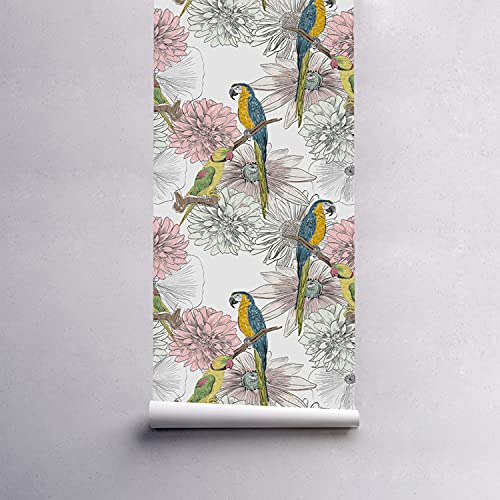 Papier peint auto-adhésive meuble et chambre fleurs de perroquet - 5