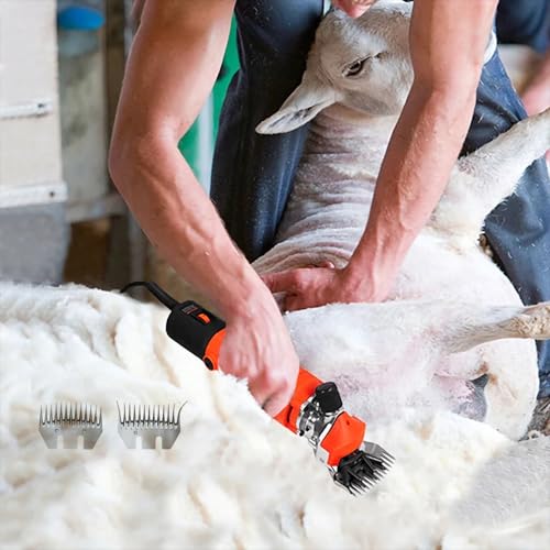 Tondeuse à moutons électrique 1000 W avec lames 13 dents et boîte
