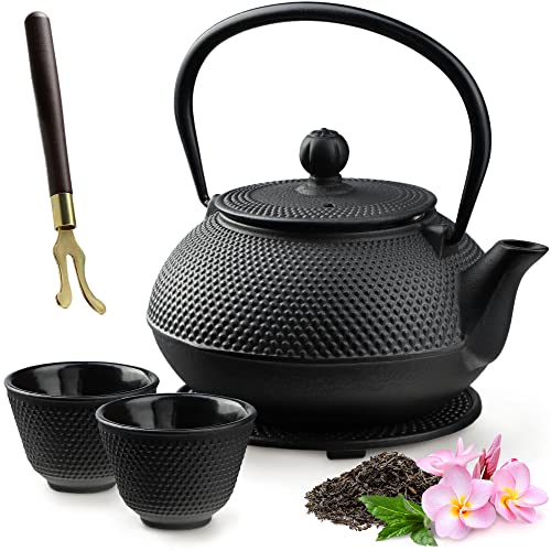 KADAX Théière Japonaise en Fonte de 850 ml avec Intérieur Émaillé, Bouilloire avec Deux Tasses et Infuseur pour Thé en Vrac, Service à Thé Complet...