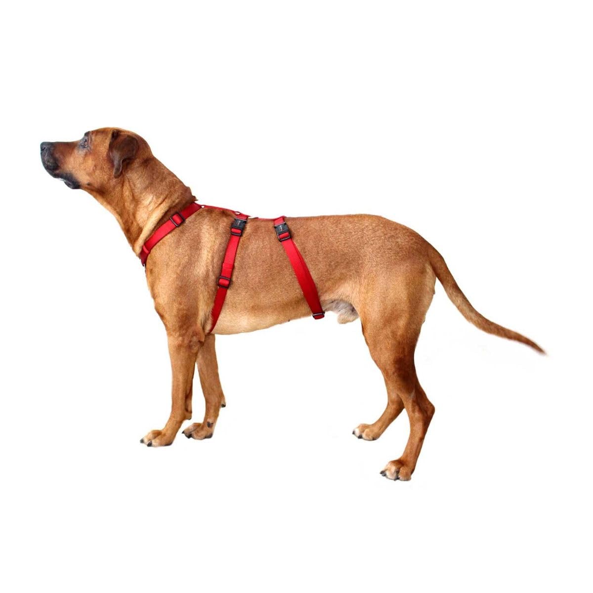 Hundegeschirr ausbruchsicher Professional No Escape, M: 40-50cm rot