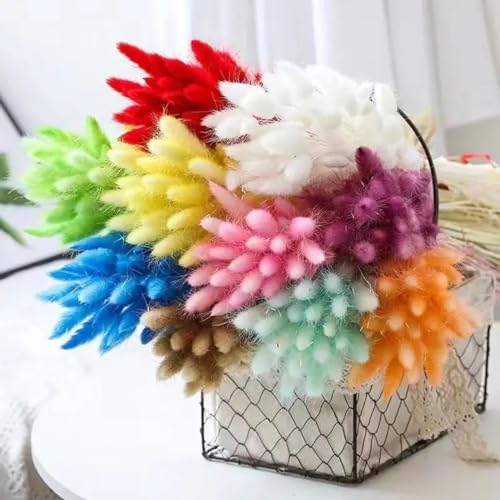 Boho Room Decor 50Pcs 45cm Natural Bunny Rabbit Tail Grass miniatura 4