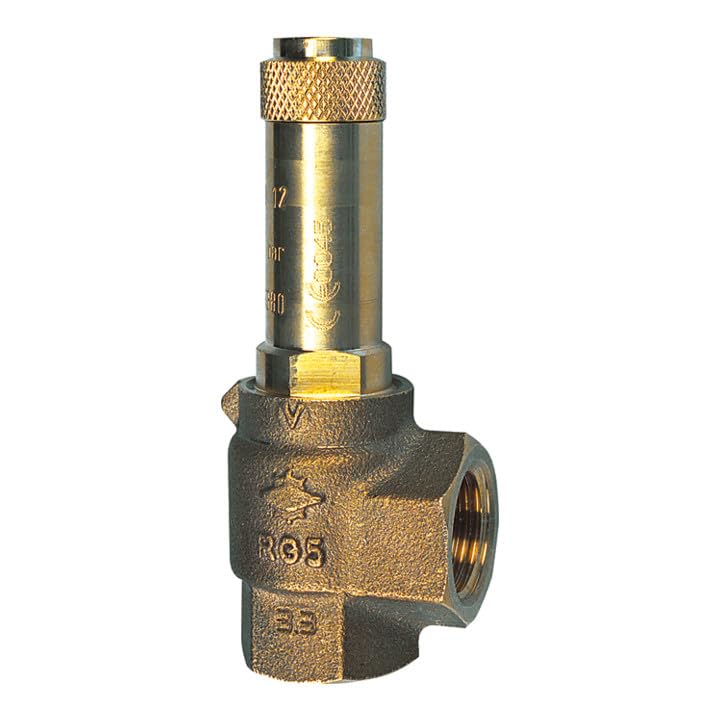 RIEGLER 117639-222.04-11,0 - Válvula de seguridad en esquina, vapor Sattdampf, G 3/4, presión de respuesta: 11 bar, 1 unidad