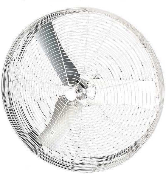 Dayton Air Circulator,36" Dia.,1 Speeds,0.5V 36B8WN-G - 1 Each