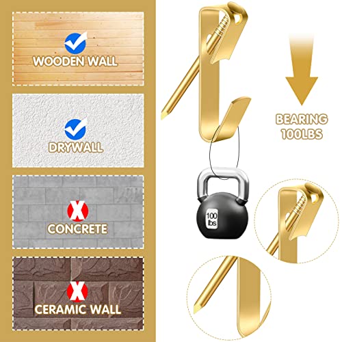 50Pcs Picture Hanging Kit 100Lb Metal Picture Hangers Professional Picture Hanging Hooks With Nails For Picture Frame Mirror Wall Painting Portraits Hanging Decoration #TOP2