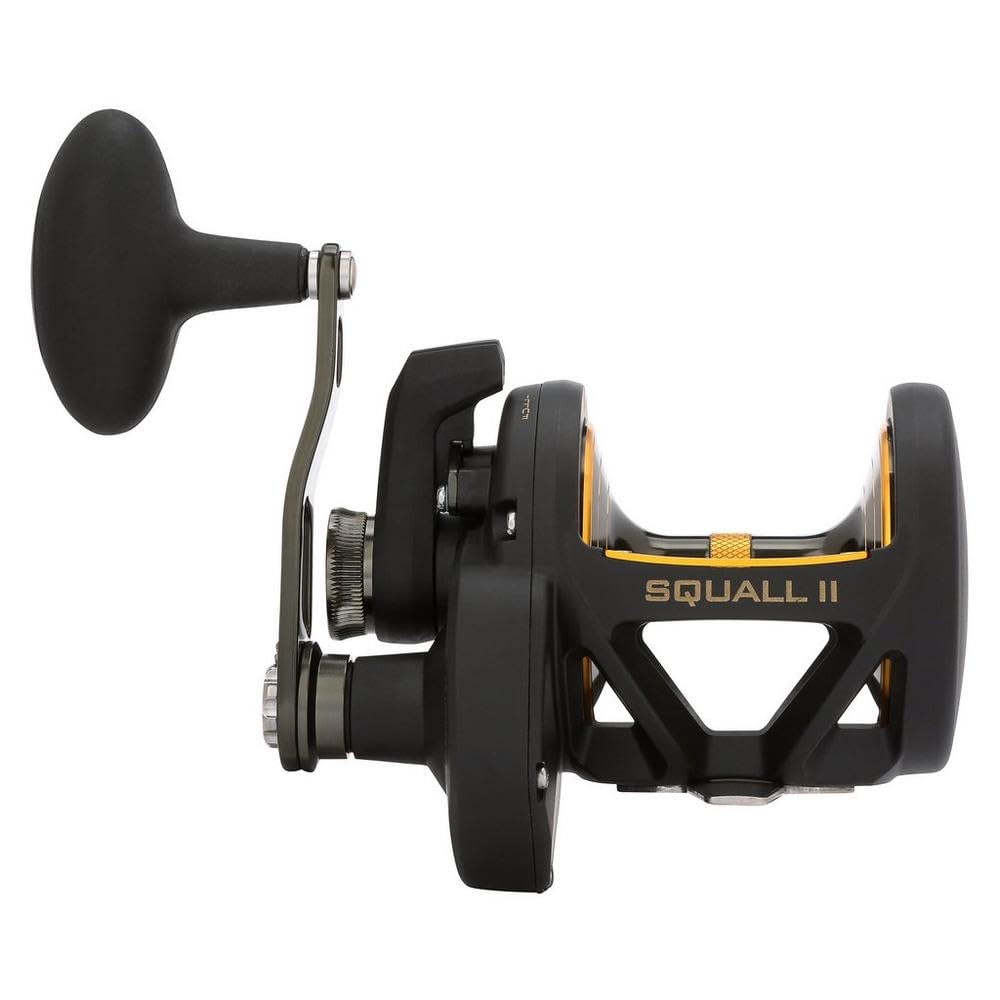 Amazon | PENN Squall II Lever Drag Fishing Reel, Size 40, Graphite