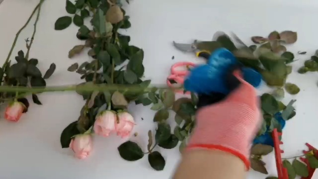 Kit de herramientas para jardín Floral Toolkit 7 piezas miniatura 7