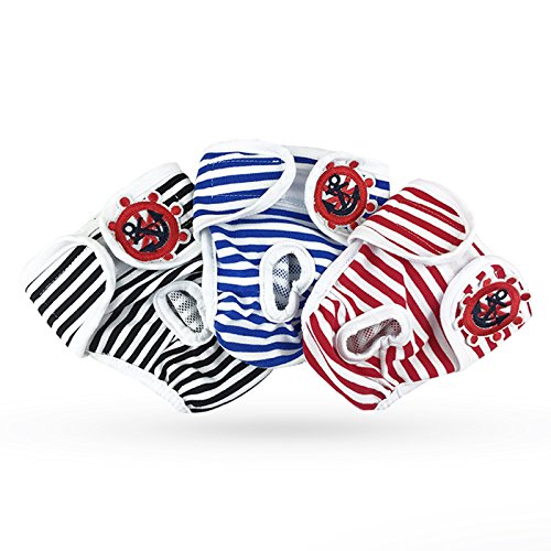 Bule Maple }i[pbh  IcJo[ }i[xg j̎q ̎q (L, 3F)