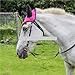 Horse Riding Ear Cover Breathable Meshed Shield Equestrian Equipment Fly Mask Bonnet Net Protector for Horse(Red)