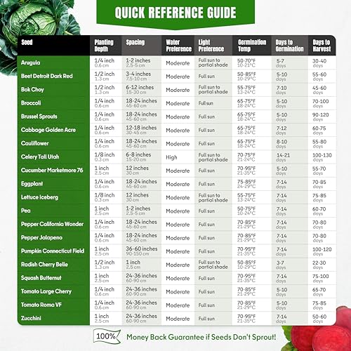 Vegetable Seeds Variety Pack – Tomato, Cucumber, Zucchini, Lettuce, Broccoli & Cabbage – 20 Varieties, 3900+ Non-GMO Heirloom Seeds, Indoor & Outdoor Garden by SPROUTME SEEDS - Image 8
