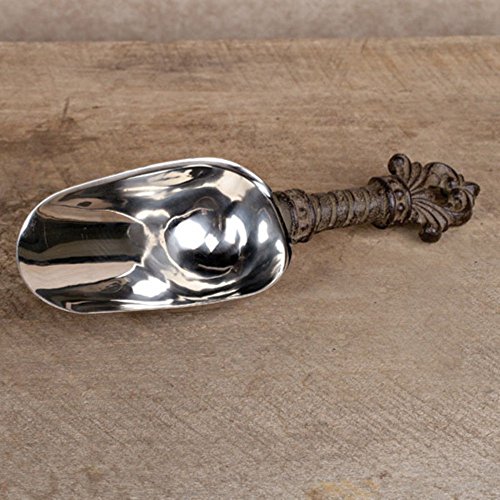 Stainless Steel Ice Scoop