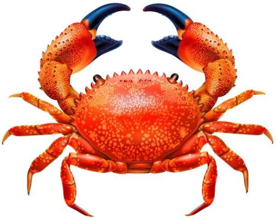 Crab Porcelain Swimming Pool Mosaic (Red, 7" x 6")