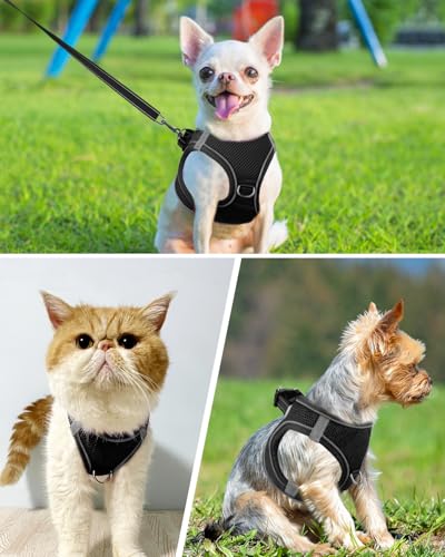 Joytale Hundegeschirr, Reflektierend Weich Gepolstert Hunde Geschirr, Air-Mesh Atmungsaktiv Brustgeschirr für Katze Welpen, Kleine Hunde, XXS, Schwarz