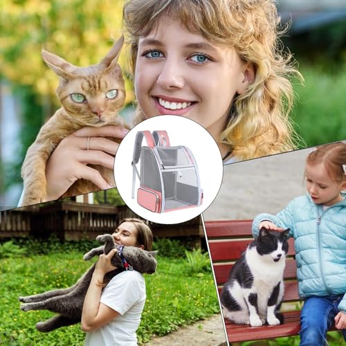 Mochila de malla transpirable para mascotas y bolsa de transporte ventilada 6
