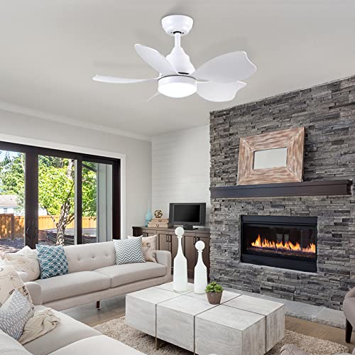 Newday 30 Inch Ceiling Fan, Small Ceiling Fan With Lights And Remote Control, Quiet Reversible Motor, White Modern Ceiling Fan For Bedroom, Living Room #TOP5