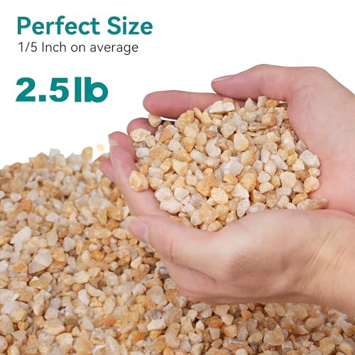 Image of 2.5 lbs Coarse Sand for Plants, 1 /5 Inch Horticultural Sand for Vases, Aquariums, Terrarium, Fish Tank, Drainage Rocks for Potted Plants, Bamboo, Succulent, Crafts, Cactus