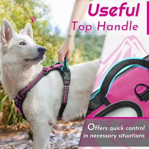 Eagloo Dog Harnesses for Large Dogs, No Pull Pet Vest with 2 Leash Clips - 4