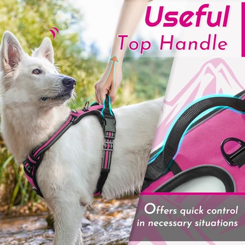 Eagloo Dog Harness No Pull, Walking Pet Harness with 2 Metal Rings and Handle, Adjustable Reflective Breathable Oxford Soft Easy Control Vest for Small Medium Large Dogs, Rose Red, L - Image 6