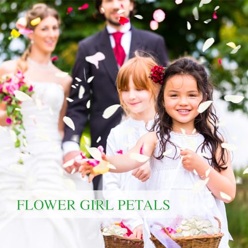 300 PCS Dried White Rose Flower Petals, Real Freeze Ivory Rose Petals for Decor, Wedding, Romantic Night, Proposal Venue, Party Confetti Bridal Shower (2.8oz) image 7
