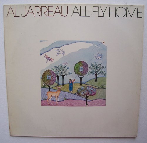 all fly home LP [Vinyl] Unknown