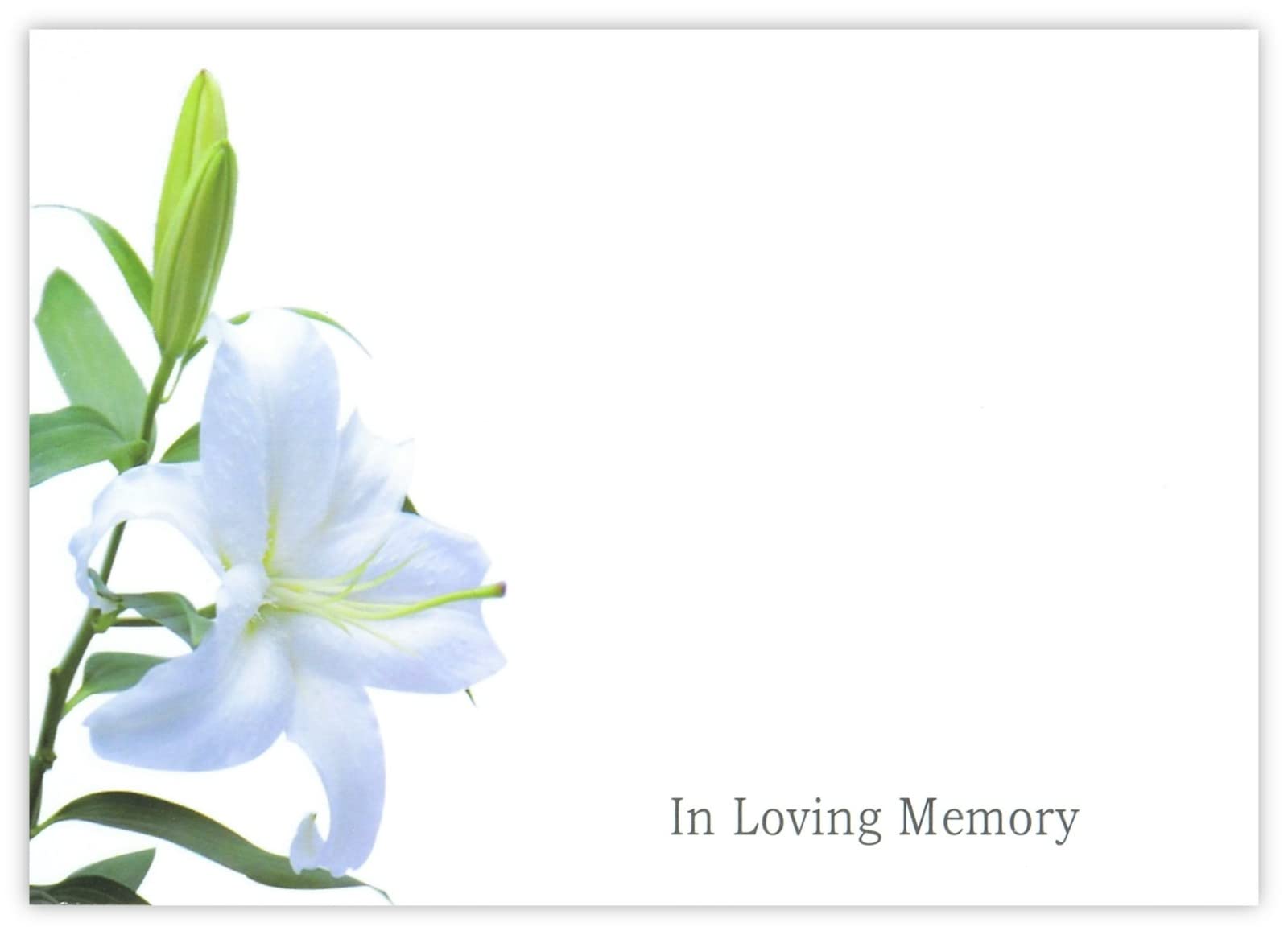 celloexpress In Loving Memory (White Lily) Flower Message Cards - 90mm x 125mm - Bereavement Florist Card Sympathy Condolences Notes (Pack of 12)
