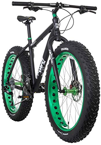 minnesota 2.0 fat bike