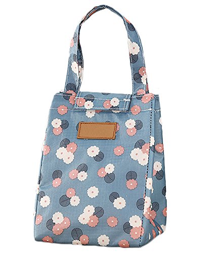 Bolsa portátil para el almuerzo de iTemer, plegable, con aislamiento térmico, para viajes y picnic 18*18*25cm couleurs4